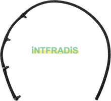 INTFRADIS 102751